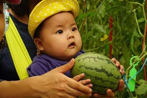 免费吃瓜群2022,年度娱乐盛宴大盘点  第2张